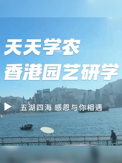 与香港园艺学会联合举办香港园艺研学，专业园境师带队讲解。